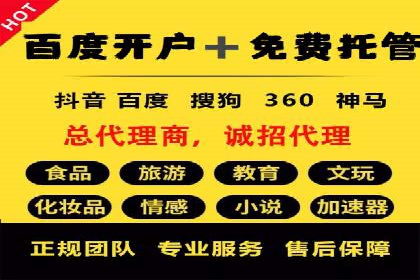 行业领先企业的sem竞价托管代运营策略